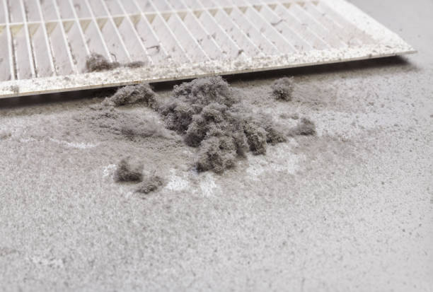 Best Professional Duct Cleaning Services  in Woodville, AL