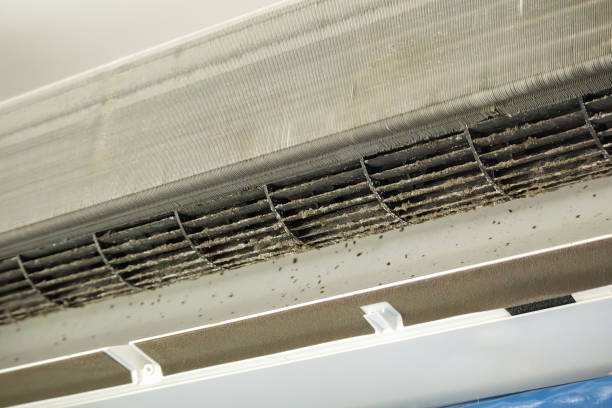 Best Dryer Vent Cleaning Services  in Woodville, AL